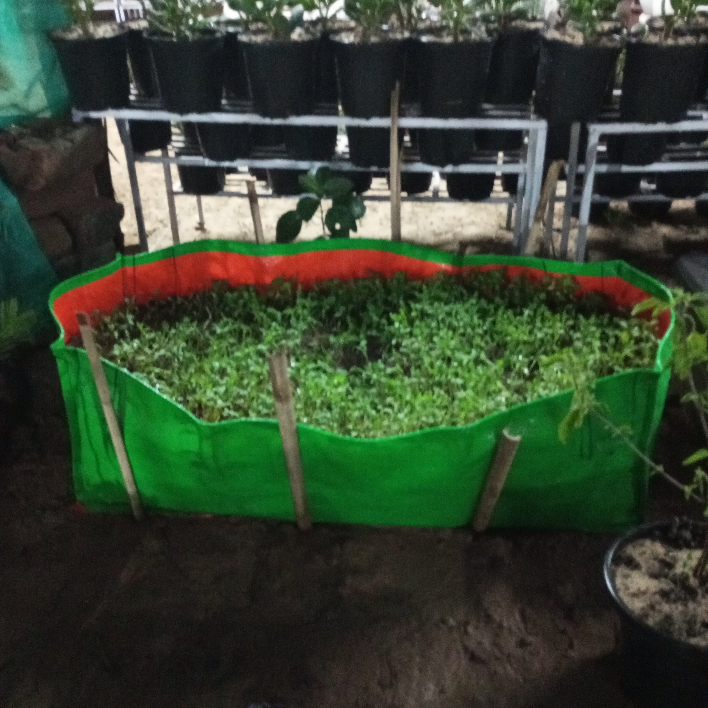 Buy Rectangular Shaped Grow Bag Online – Ideal for Planting, Purchase Grow Bag with Rectangular Design for Your Garden, Online Shopping: Rectangular Grow Bag – Efficient Planting Solution, Rectangular Shaped Grow Bag for Sale – Optimal Plant Growth