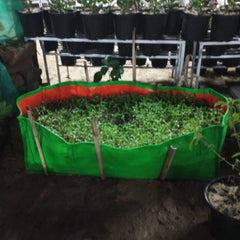 Buy Rectangular Shaped Grow Bag Online – Ideal for Planting, Purchase Grow Bag with Rectangular Design for Your Garden, Online Shopping: Rectangular Grow Bag – Efficient Planting Solution, Rectangular Shaped Grow Bag for Sale – Optimal Plant Growth