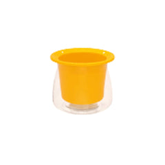 Effortless online purchase for stylish and convenient plant hydration