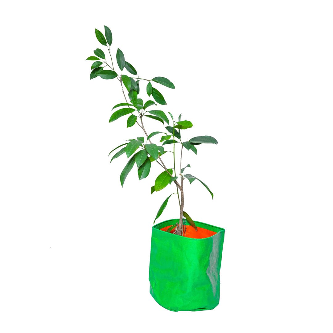 Buy Round Shaped Grow Bag Online – Ideal for Circular Planting, Purchase Grow Bag with Circular Design for Your Garden, Online Shopping: Round Grow Bag – Efficient Planting Solution, Round Shaped Grow Bag for Sale – Optimal Plant Growth