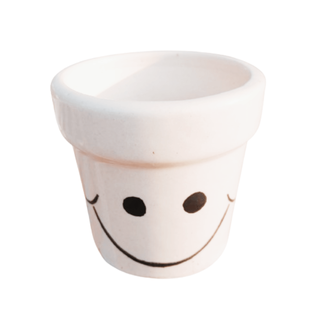 Ashwani Style - Ceramic Pot White