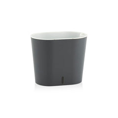 Explore premium designs for a thriving garden