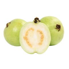 Guava L49 (Amrud) Variety Plant