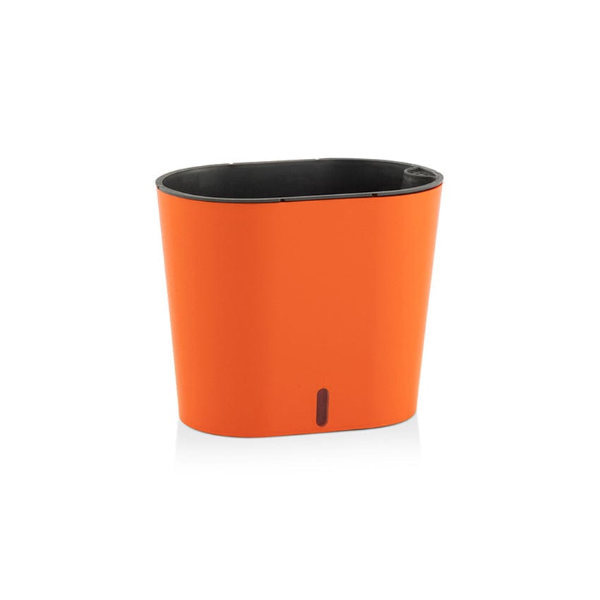 Stylish and practical plant care solution