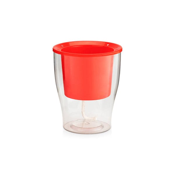 Peace Lily Plant Gift in Transparent Self Watering Pot Red