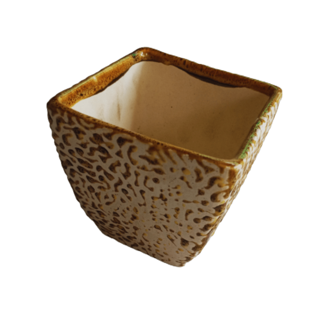 Square Bonsai Ceramic Pot Brown / RD Bonsai