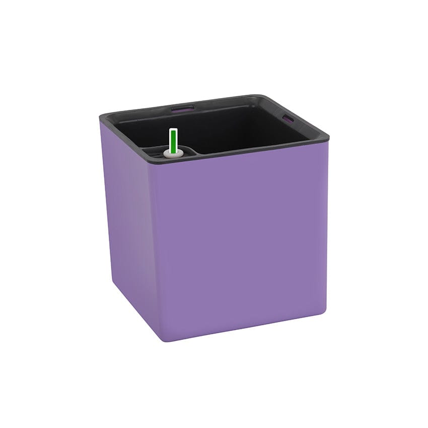 Transform your plant care routine with a Columbus Self-watering, available for online order