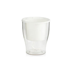 Peace Lily Plant Gift in Transparent Self Watering Pot White