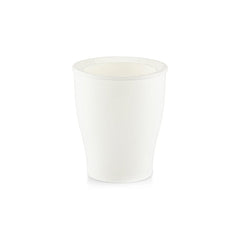 Elevate plant care with premium Cone Self-watering, available online