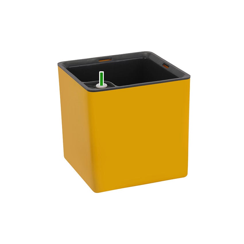 Experience the convenience of Columbus Self-watering, buy online now