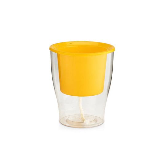 Buy Clear Pot Online: A transparent marvel for easy watering