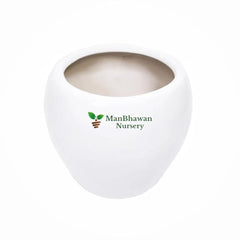 cera apple shaped ceramic pot, buy now cera apple shaped ceramic pot, ceramic pot online, buy now premium ceramic pot