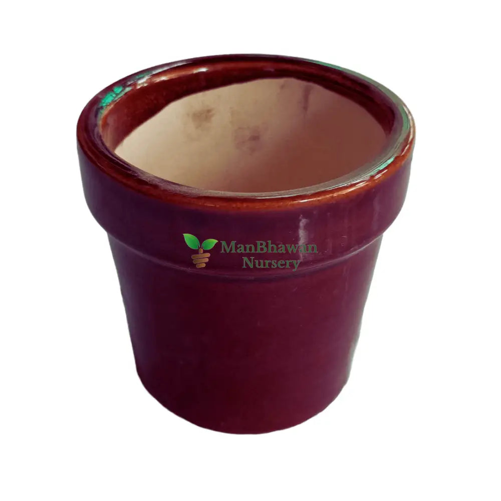 buy online ceramic pot, planter for home, online planters, pot, ceramic pot