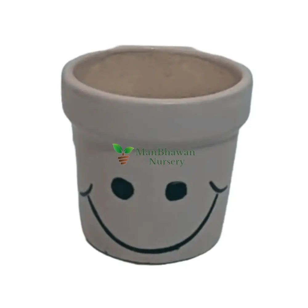ashwani style ceramic pot for home, buy online ceramic pot for home