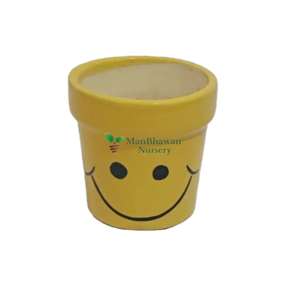 ceramic pot online, best pot for garden, new online ceramic pot, ashwani style ceramic pot for home
