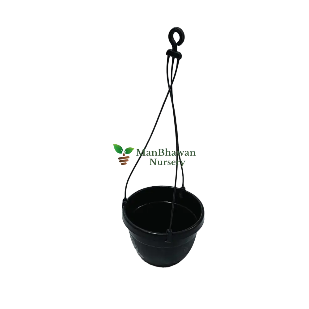 hanging planters, buy now hanging planters online, best pot for home, balcony planters for home, new hanging pots on sale