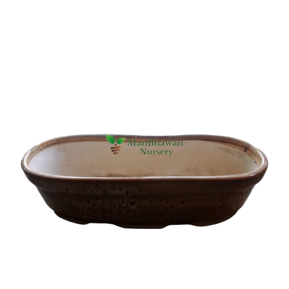 boat shape ceramic pot online, buy online ceramic pot online, best afordable ceramic planters, shop now boat shape pots