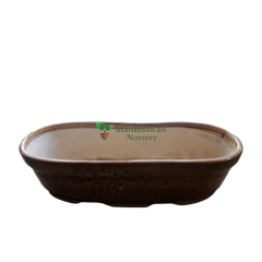 boat shape ceramic pot online, buy online ceramic pot online, best afordable ceramic planters, shop now boat shape pots