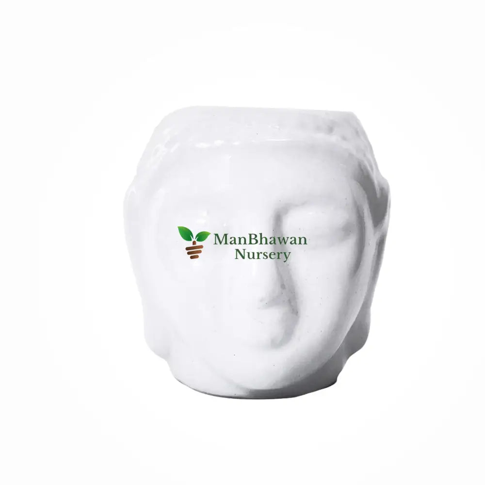Serene beauty in every detail - Buddha Ceramic Pot, Transform spaces with our artistic Buddha Pot