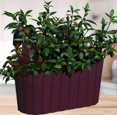 Railing Planter - Double Hook Plastic Pot