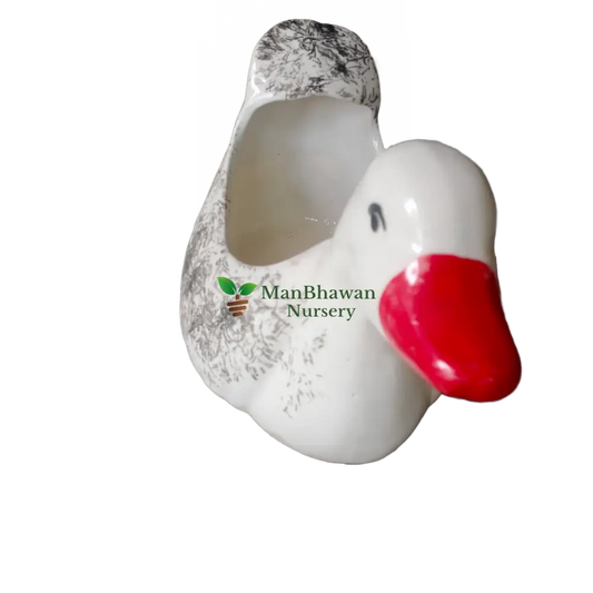 Online shopping: Buy adorable Duck Shaped Ceramic Pot for unique plant display, Purchase a charming Duck Shaped Ceramic Pot online to elevate your gardening style, Order a whimsical Duck Shaped Ceramic Pot online to add personality to your plants, Add a touch of creativity to your space with a purchased Duck Shaped Ceramic Pot