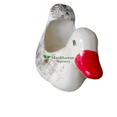 Online shopping: Buy adorable Duck Shaped Ceramic Pot for unique plant display, Purchase a charming Duck Shaped Ceramic Pot online to elevate your gardening style, Order a whimsical Duck Shaped Ceramic Pot online to add personality to your plants, Add a touch of creativity to your space with a purchased Duck Shaped Ceramic Pot