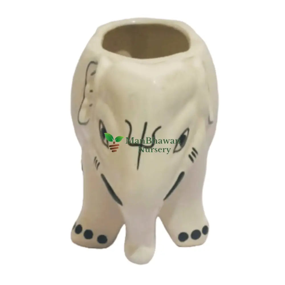 Online shopping: Purchase whimsical Elephant Shaped Ceramic Pot for plant display, Buy adorable Elephant Shaped Ceramic Pot online to add charm to your gardening, Order a cute Elephant Shaped Ceramic Pot online for a unique plant container