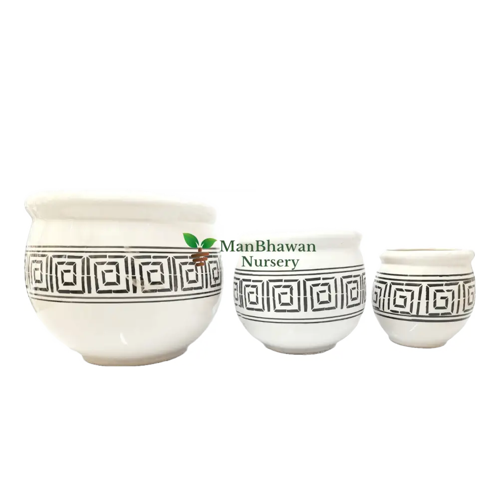 Printed Pattern on Genda Ceramic Plant Pot, Elegantly Designed Genda Pot with Print Detail, Sophisticated Print Pattern on Genda Pot for Plants