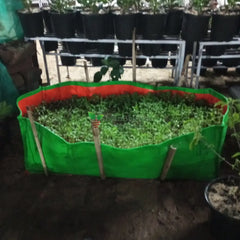 Buy Rectangular Shaped Grow Bag Online – Ideal for Planting, Purchase Grow Bag with Rectangular Design for Your Garden, Online Shopping: Rectangular Grow Bag – Efficient Planting Solution, Rectangular Shaped Grow Bag for Sale – Optimal Plant Growth