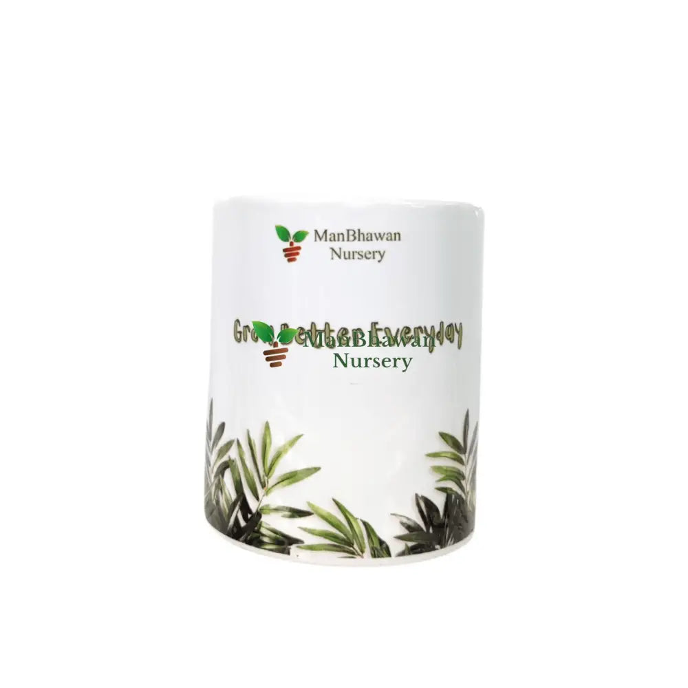 Grow Better Everyday Printed Ceramic Pot - 4 Inch