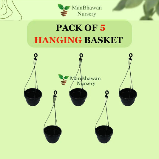 Buy Online: Hanging Basket Five Pot Combo - Money Saver Pack for a stunning and economical garden display, Order Hanging Basket Combo Online: Save on your garden budget with this attractive five-pot arrangement, Purchase Hanging Basket Five Pot Combo Online: An economical choice for a diverse and visually appealing garden setup