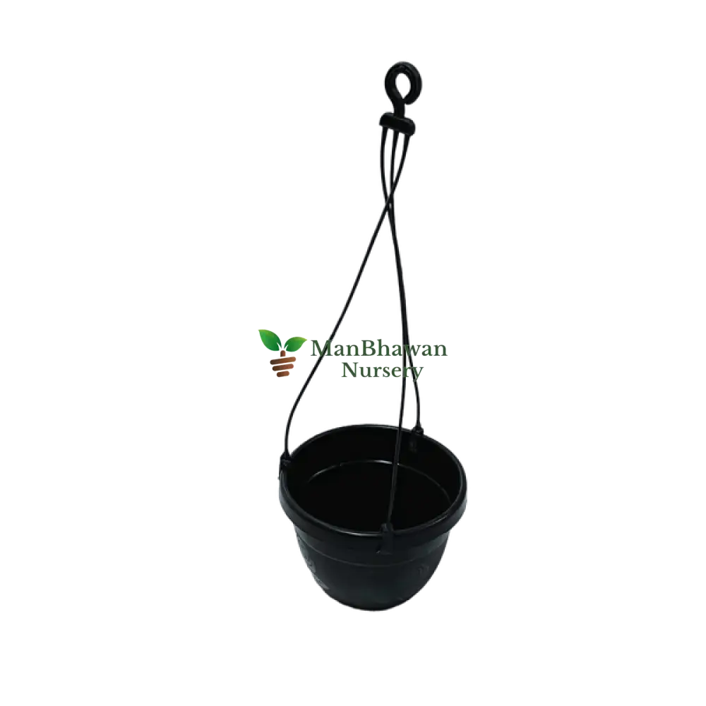 Buy Online: Money Saver Pack - Hanging Basket Five Pot Combo for a budget-friendly and decorative garden solution, Acquire Hanging Basket Combo Online: Optimize your savings with this five-pot arrangement for a beautiful and cost-effective garden, Buy Online: Hanging Basket Five Pot Combo - Money Saver Pack for a stunning and economical garden display