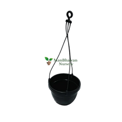 Buy Online: Money Saver Pack - Hanging Basket Five Pot Combo for a budget-friendly and decorative garden solution, Acquire Hanging Basket Combo Online: Optimize your savings with this five-pot arrangement for a beautiful and cost-effective garden, Buy Online: Hanging Basket Five Pot Combo - Money Saver Pack for a stunning and economical garden display
