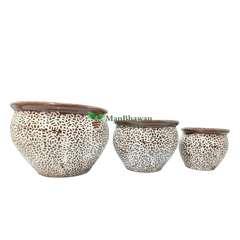 shop for best kalash shape ceramic pot, ceramic pot online