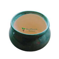 Matka Glaze Ceramic Pot