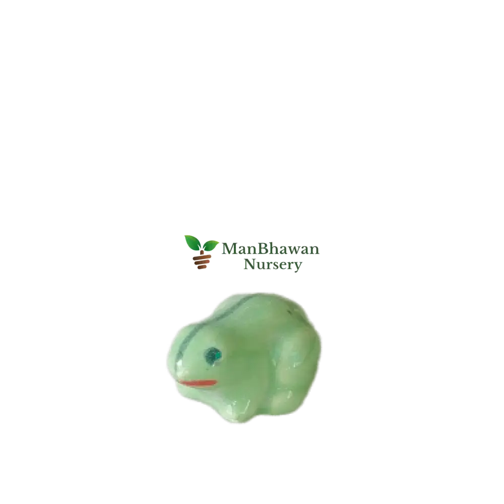 Miniature Toy - Frog