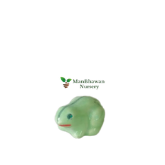 Miniature Toy - Frog