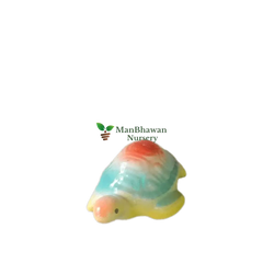 Miniature Toy - Tortoise