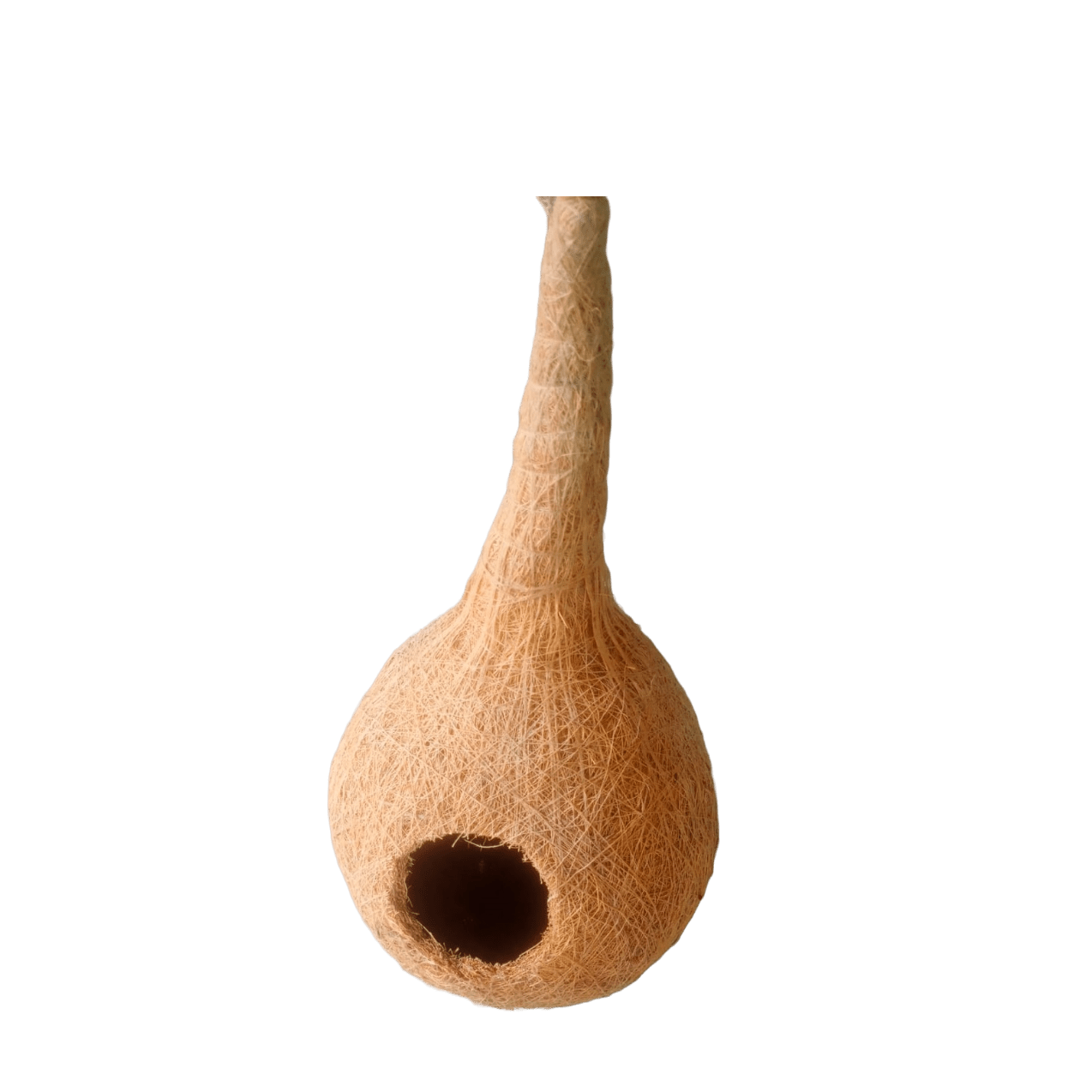 Buy Crafted Bird Nest Online, Experience the charm of Crafted Bird Nest buy online now