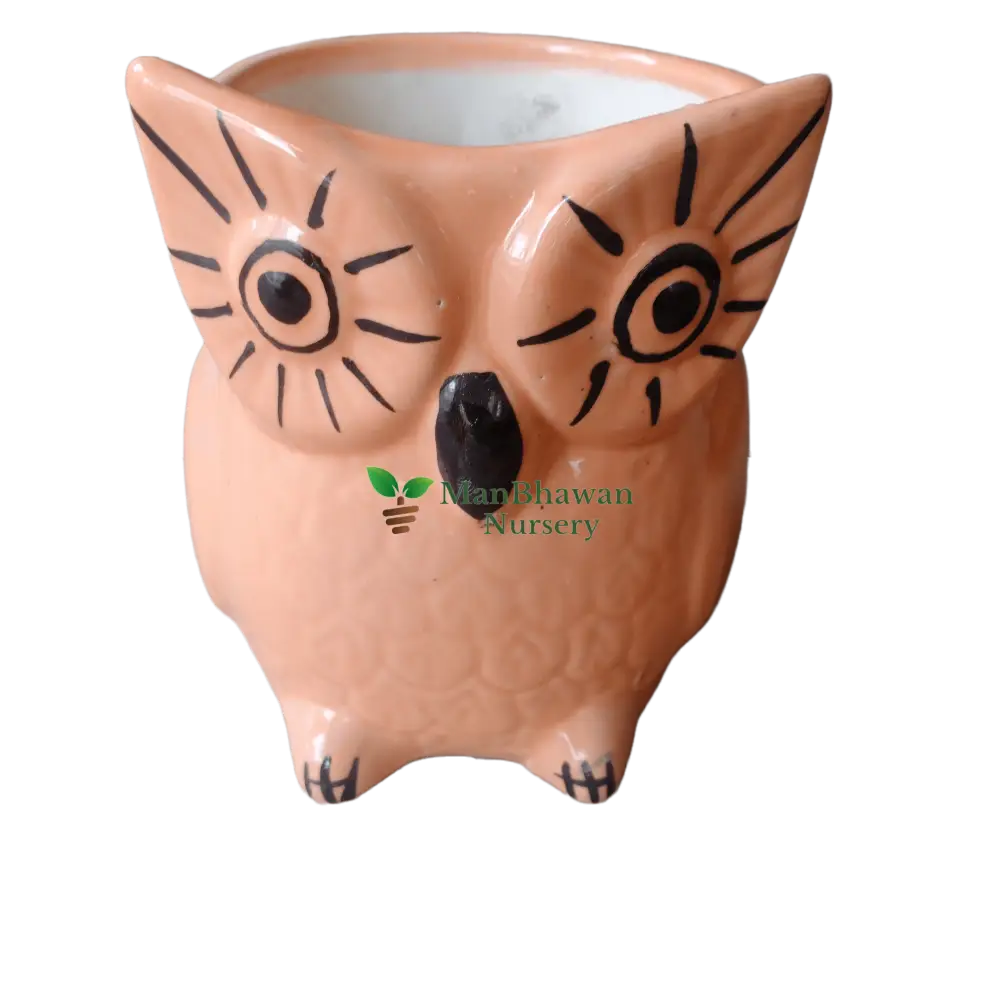 Owl Shaped Ceramic Pot