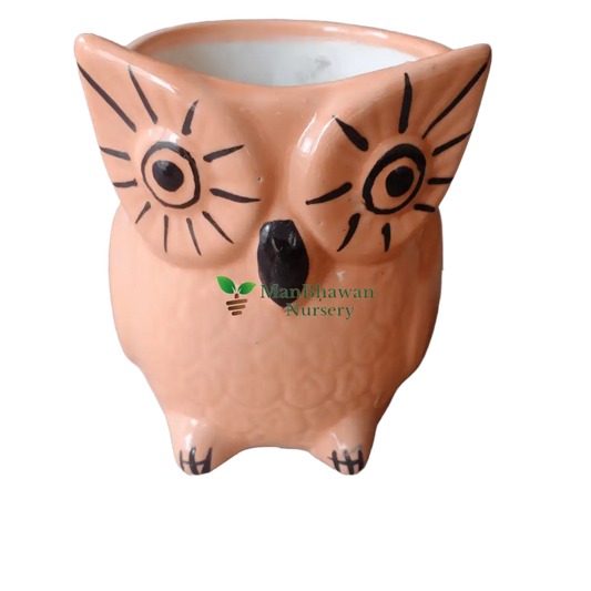 Owl Shaped Ceramic Pot