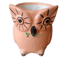 Owl Shaped Ceramic Pot