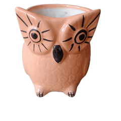 Owl Shaped Ceramic Pot