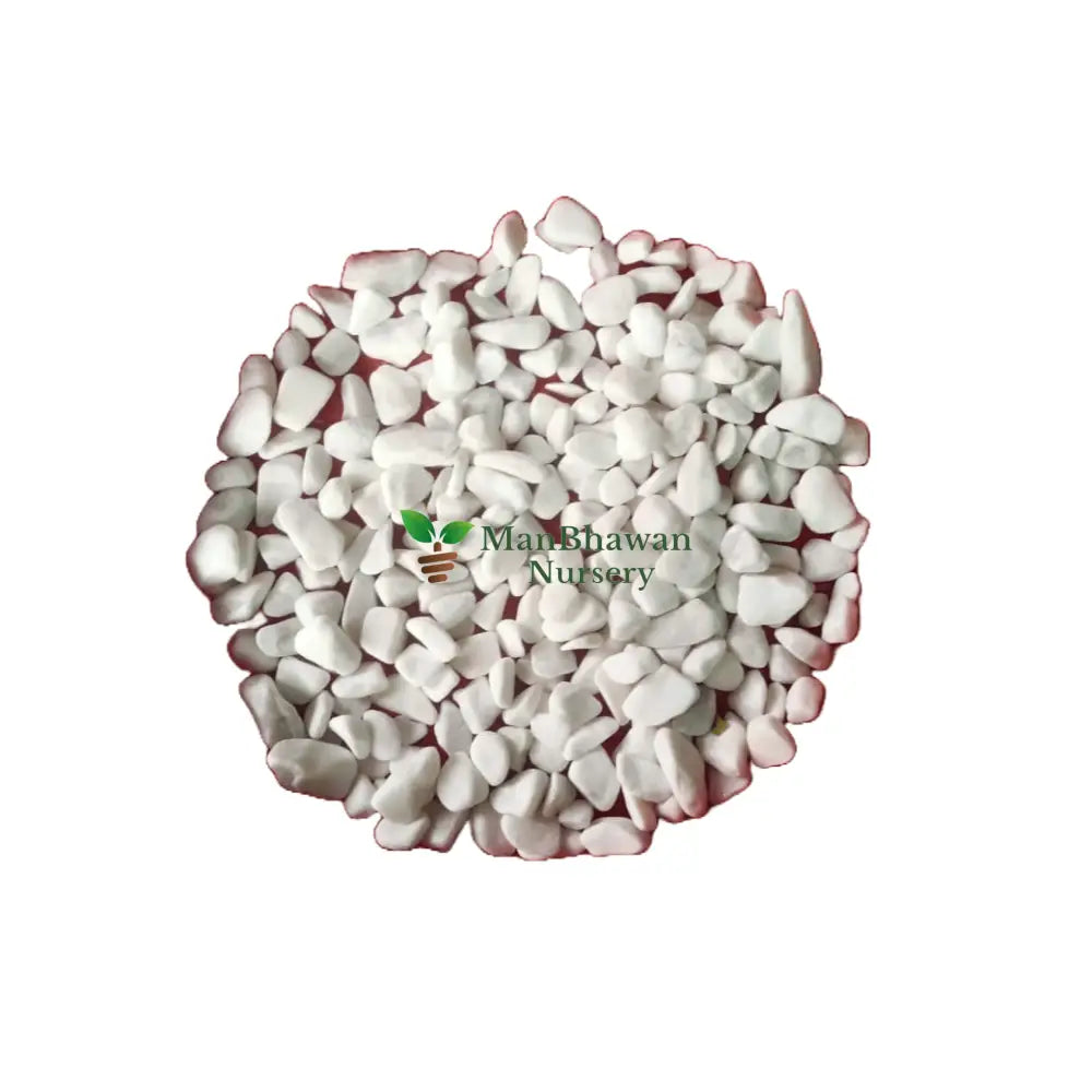 Pebbles White - 1 kg Small
