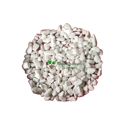 Pebbles White - 1 kg Small