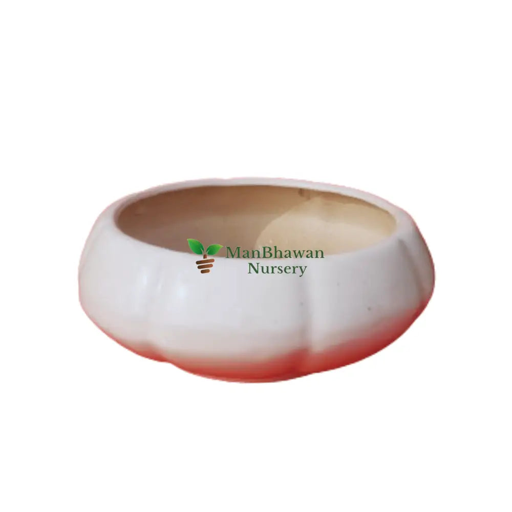 Pehal Bowl Colour Pot 6 Inch / White