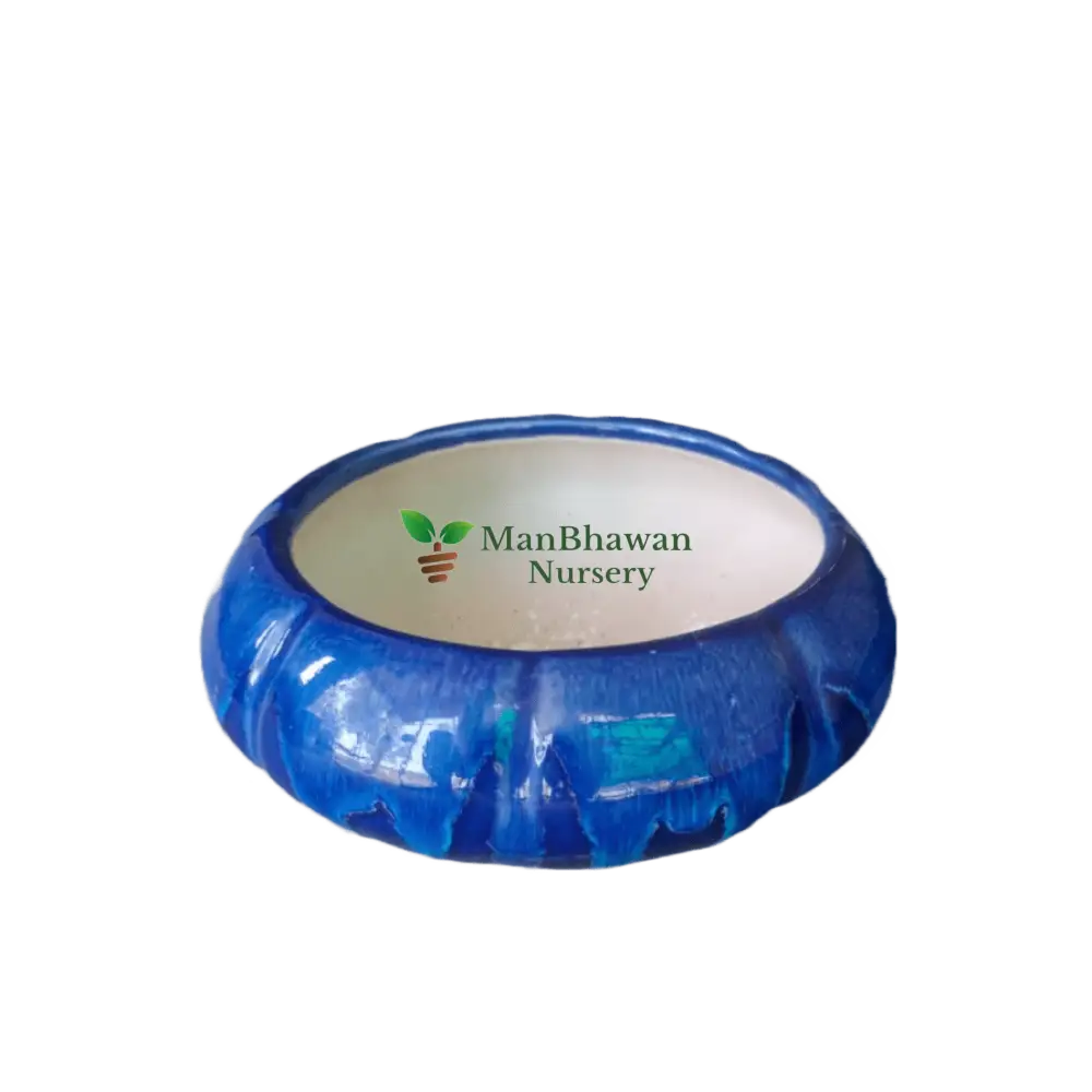 Pehal Bowl Pot - Flow Design Ceramic Pot 6 Inch / Blue