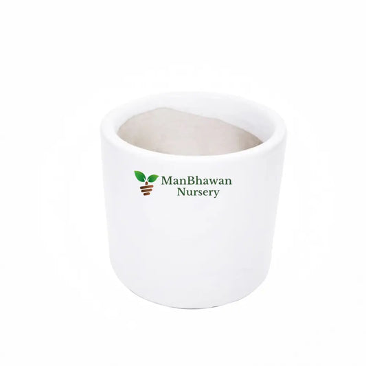 Pipe Shaped Ceramic Pot - 4 inch