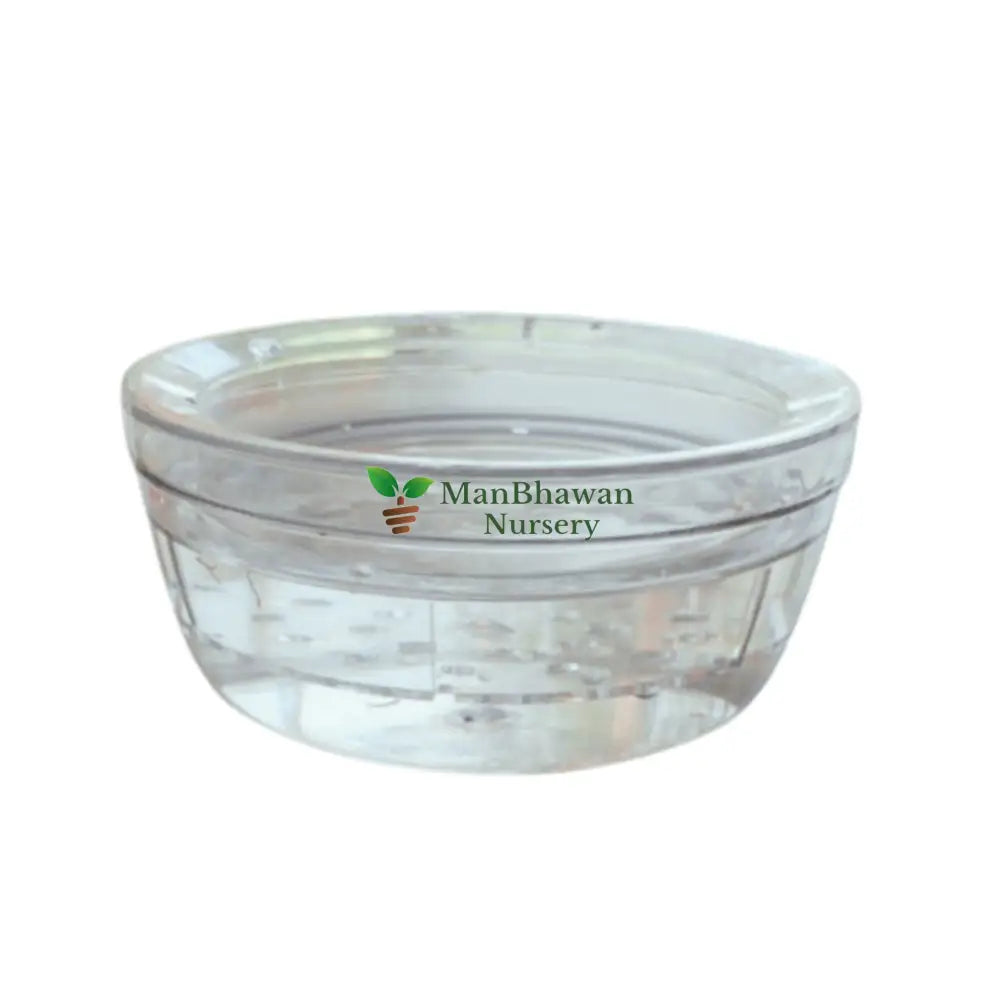 Plastic Bowl Pot for Lucky Bamboo Plant