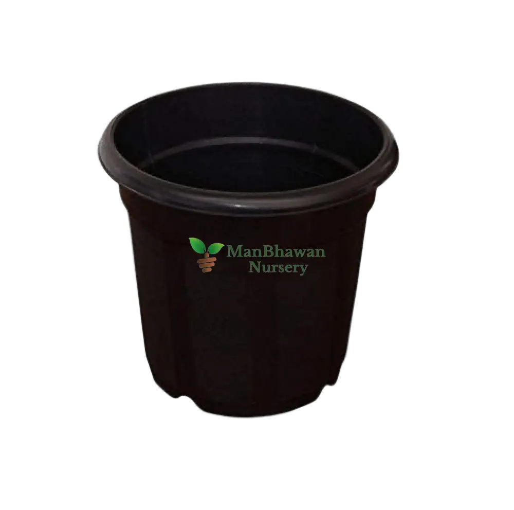 Plastic Nursery Planter - Black